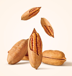 Selected pecans