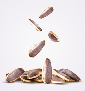 Sunflower Seed in Original Flavor