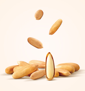 Pine Nuts