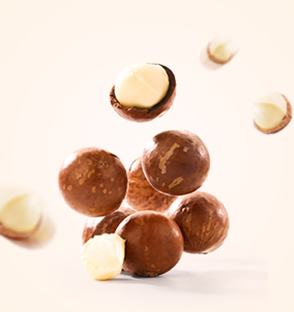 Queensland nut