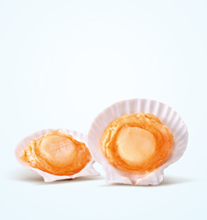 Instant Scallop