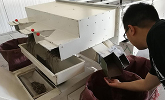 The Story of a Xinjiang Melon Seed in Henan! Tracing back along BESTORE's Supply Chain to Find Out How Special the Prime Melon Seeds Are！